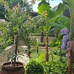 Appartement Ornela
