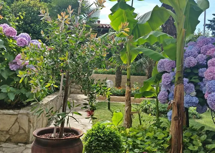 Apartment Ornela